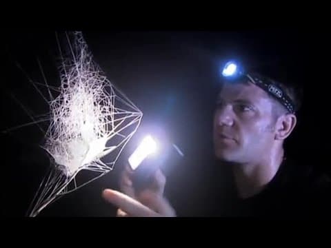 Reviewing the Discoveries | Expedition Borneo | BBC Earth