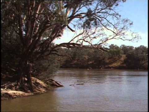 All the Rivers Run II