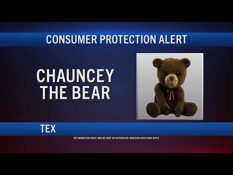 ALERT: DO NOT ENGAGE WITH CHAUNCEY THE BEAR