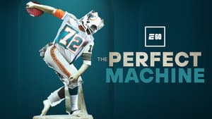 The Perfect Machine