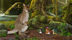 Help the Wallabies! / Help the Slimy Slug!