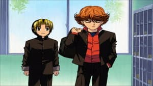 The Third Member