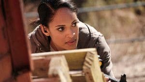 The Importance of Service
