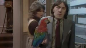 Watch The Birdie