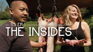 The Insides