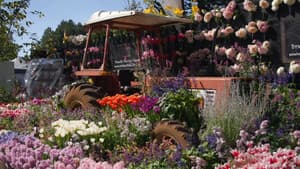 Episode 19 Winter: Designer gardens & strawberry baskets