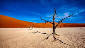 Journey into Nothingness