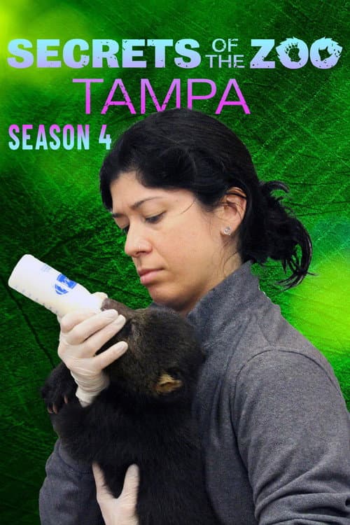 Season 4