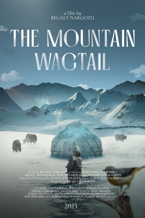 The Mountain Wagtail